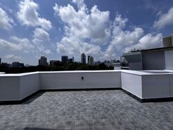 Balmoral 8 (D10), Condominium #479798281